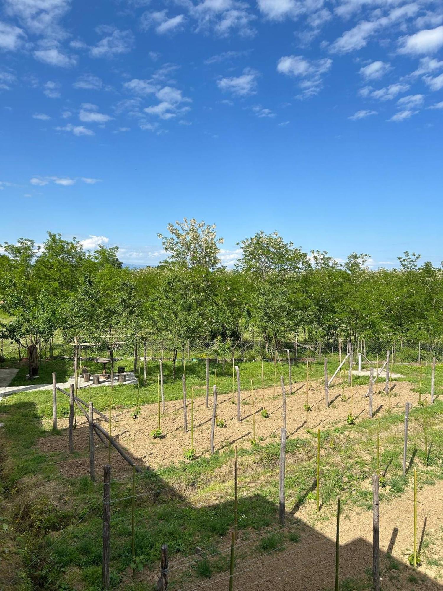 Obcha - Whispering Vines Chalet *